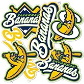 Desert Cactus Savannah Bananas Sticker Decal (T2-1) | Savannah Bananas Vinyl for Laptop, Water Bottler, Cars and Scrapbook, Merch