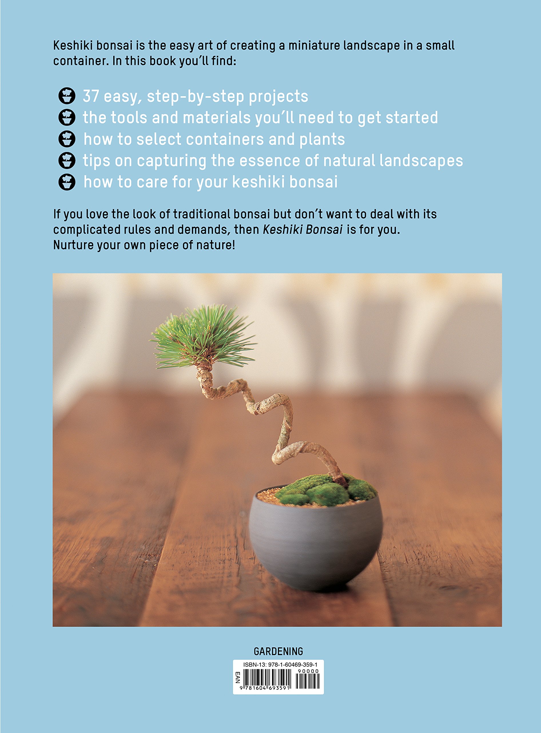 Amazon Com Keshiki Bonsai The Easy Modern Way To Create Miniature Landscapes 9781604693591 Kobayashi Kenji Books