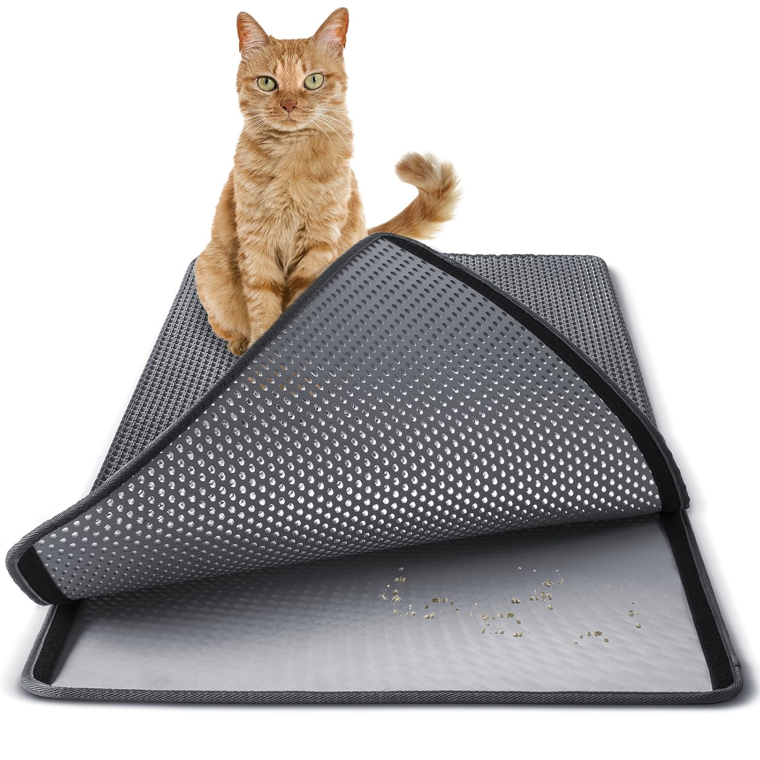 Best cat litter furniture double