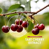ALPH A01 Montmorency Cherry 15000mg Tart Cherry Extract 90 Vegan Caps view 4