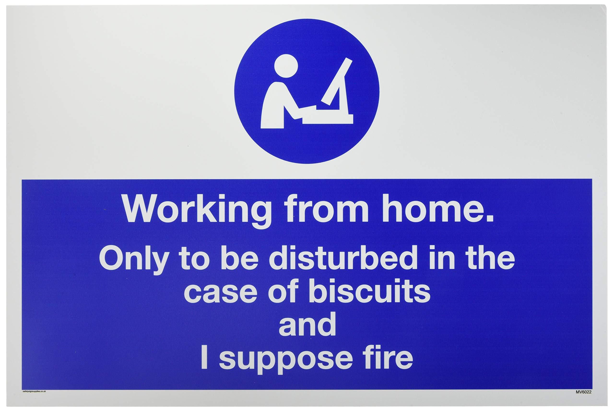 Working from home. Only to be disturbed in the case of biscuits and I suppose fire