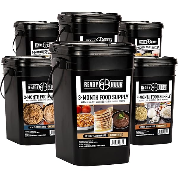 Amazon.com: READY HOUR 4-Week Emergency Food Supply - 284 Servings
