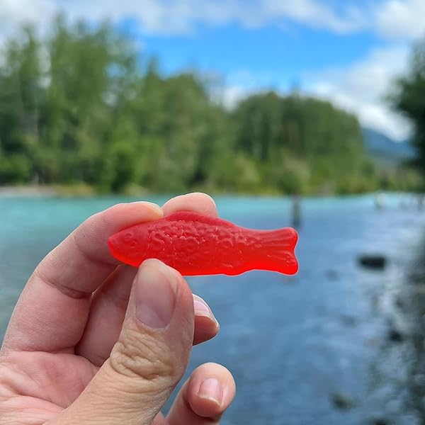 SWEDISH FISH SOFT & CHEWY CANDY, 8 OZ