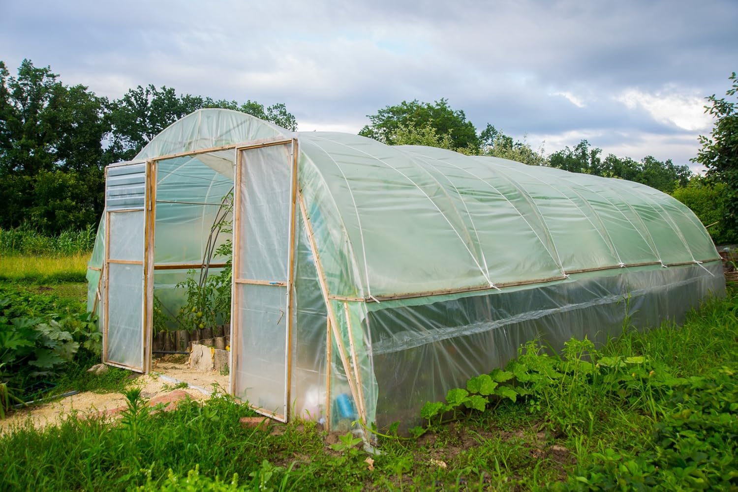 1 ecosoul UV5 Gewächshausfolie in 8m Breite Folie Gewächshäuser