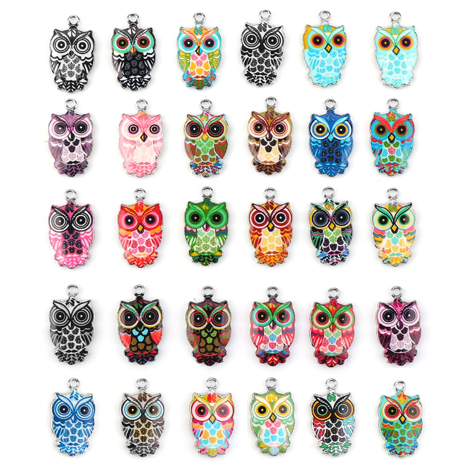 Thinp 30 Colorful Owl Charms for Jewelry Making - Metal Pendants & Cute Animal Enamel Charms for DIY Necklace, Earring, Bracelet & Christmas Craft Supplies