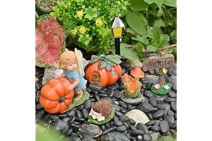 Sparkle Race Fairy Garden Accessories Outdoor Kit with Mini Pumpkin Figurine, Fairy Garden Kit for Kids Gnomes Garden Decorations, Fairy Garden Miniatures with Fairy Figurine Pumpkin Fall Home Decor