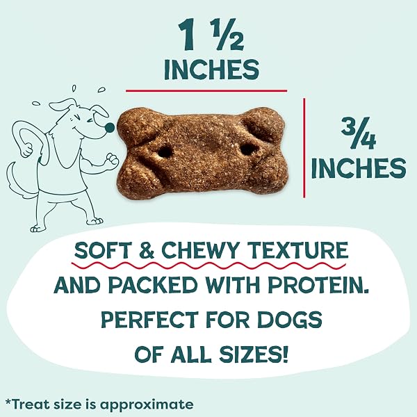 SHAMELESS PETS SOFT & CHEWY DOG TREATS, MEATY TENDERS VARIETY (3-PACK) – REAL MEAT IS 1ST INGREDIENT – GRAIN FREE, NO CORN OR SOY – DIGESTIVE SUPPORT – FOR SMALL, MEDIUM & LARGE DOGS