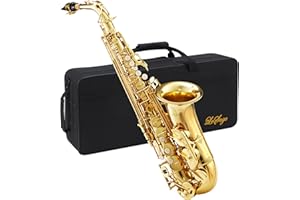LeSage Alto Saxphone E Flat for Beginners Student School Band Alto Sax Gold Lacquer Music Instrument Saxofon With Carrying Sax Case