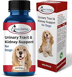 dog uti remedy