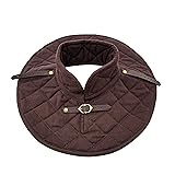Lord of Battles Medieval Padded Collar Chain Mail