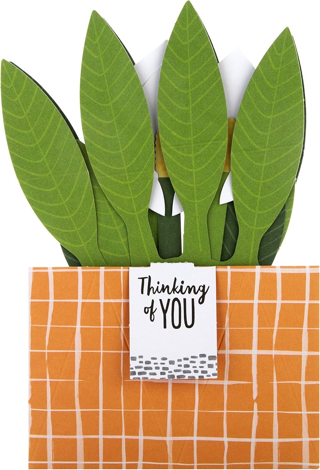 Hallmark Pop Up Card - Contemporary Peace Lily Plant Design, Thinking Of You 3D Lily - Image 5