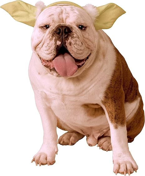 Amazon Com Star Wars Classic Yoda Dog Headpiece Medium Large Pet Supplies