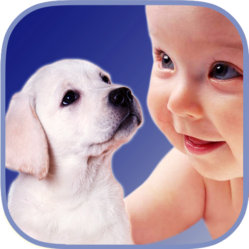 ZOOLA Best animal app for kids Apps & Games