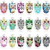 WILLBOND 18 Pieces Enamel Owl Charms Pendant Mixed Owl DIY Charm Jewelry Making Crafting Accessories for Necklace Bracelet Earring, 18 Colors