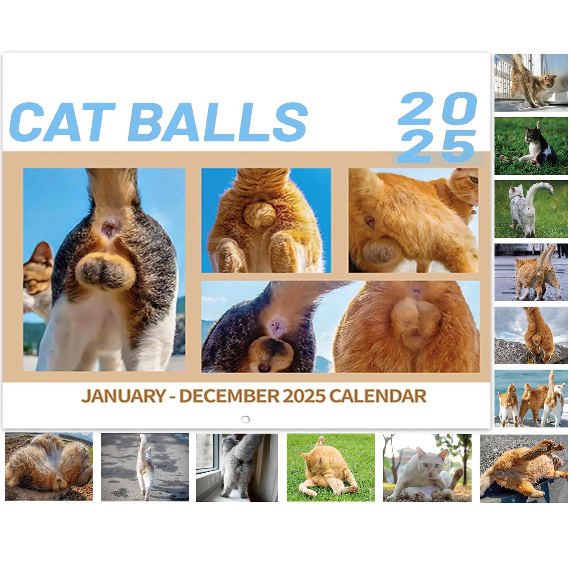 2025-wall-calendar-funny-calendar-2025-with-cat-s-balls-jan-2025
