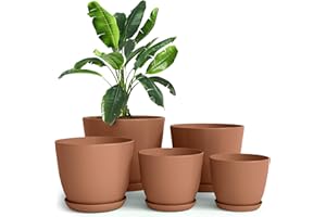Utopia Home - Plastic Terracotta Pots with Drainage - 7/6.6/6/5.3/4.8 Inches Flower Pots for Indoor Planter - Pack of 5 Plastic Planters, Cactus, Succulents Pot