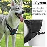 Belababy Dog Harness Reflective Front Clip No Pull Adjustable Black XL view 4