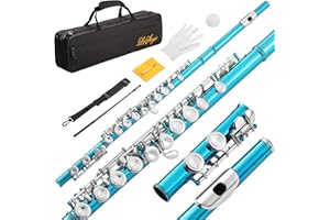 LeSage Closed Hole C Flute 16 Key Blue Flute for Beginner Starter Student with Case, Maintenance Kit, Cleaning Cloth, Band C Foot Offset G Y-arm