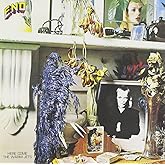 Here Come The Warm Jets