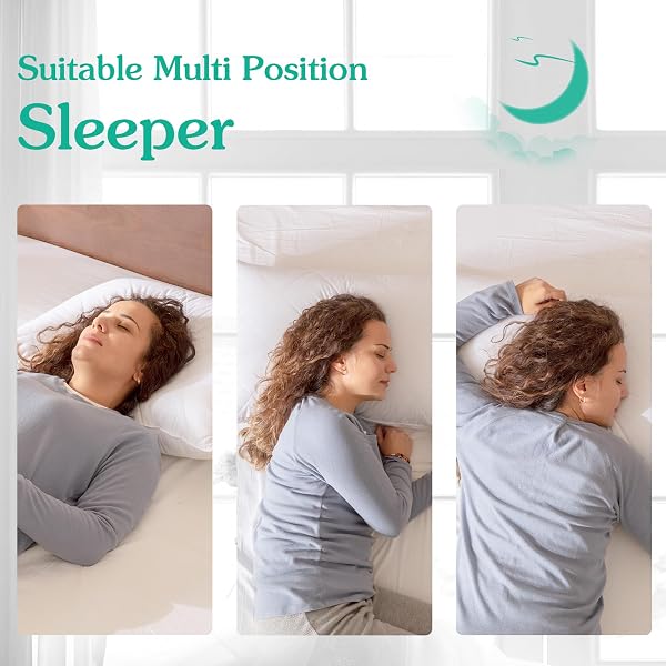 THREE GEESE WHITE GOOSE FEATHER & COTTON PILLOWS QUEEN/STANDARD SIZE SET OF 1- SOFT 600 THREAD COUNT 100% COTTON, MEDIUM FIRM,SOFT SUPPORT, WHITE SOLID
