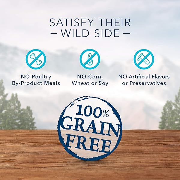 BLUE BUFFALO WILDERNESS TRAIL WILD BITES HIGH PROTEIN GRAIN FREE SOFT MOIST SALMON DOG TREATS