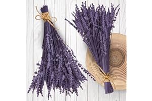 GIFUGI 180 Stems Purple Dried Lavender Flower Bundle - 15-17 " Real Dry Preserved Lavender Bouquet for Shower Home Wedding Vase Decor, Handmade, Fragrance, 2 Packs Live Silk Flowers