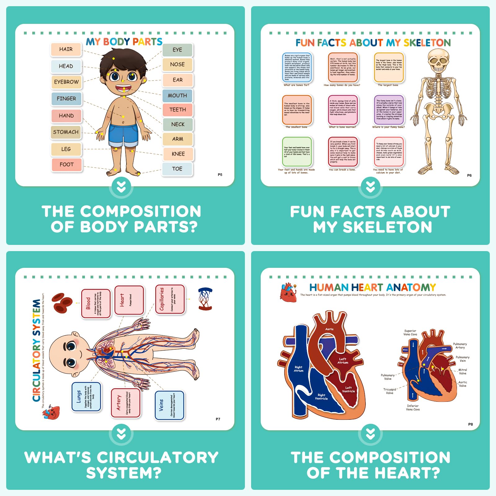 Mua Ayyomo Human Body Anatomy Busy Book for Kids, Montessori Homeschool ...