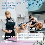 ANIGENE Surface Disinfectant Cleaner Byotrol 5 L Apple Scent UK Made view 8