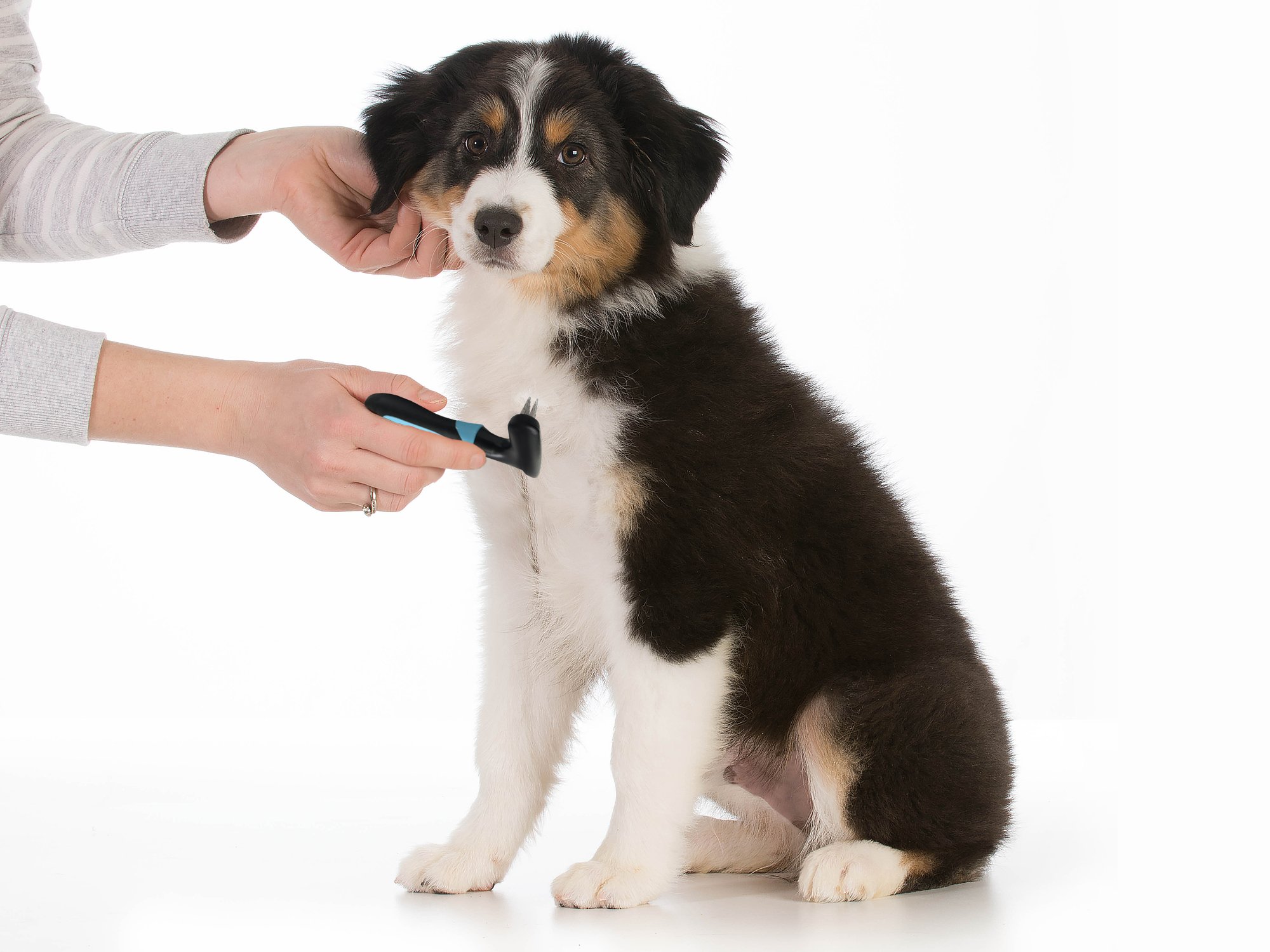 Dog rake deshedding dematting brush comb Undercoat rake for dogs