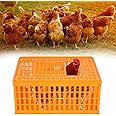 lukar Poultry Carrier Crate Plastic Chicken Transport Crate Cage Heavy Duty Chicken Carrier Crates Chicken Crates Transport Box for 10-13 Adult Chicken Duck Goose Birds, 29.5 x 21.7 x 13 Inch