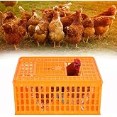 lukar 1 Piece Poultry Carrier Crate Heavy Duty Chicken Transport Cage | Plastic Chicken Carrier Crates Transport Box for 10-13 Adult Chickens Duck Goose Birds, 29.5 x 21.7 x 13 Inch