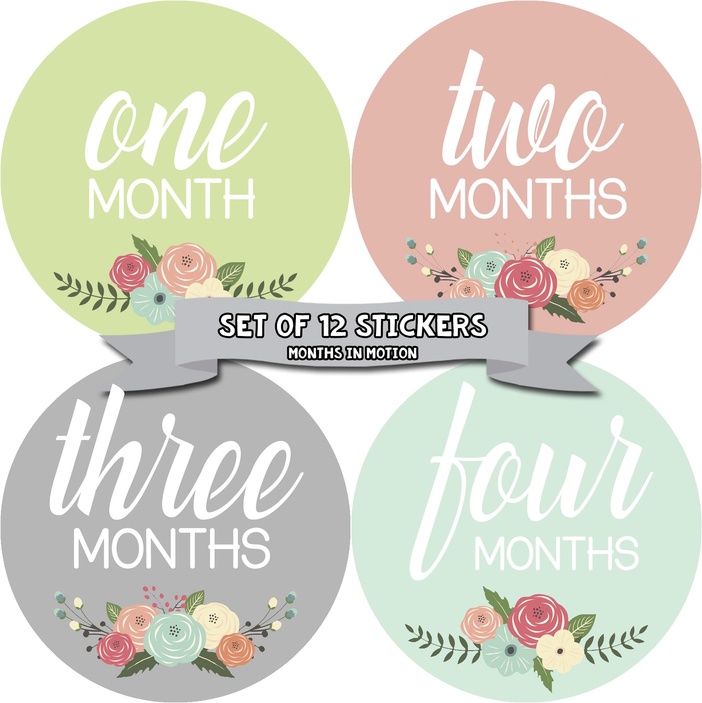 Months In Motion Baby Month Stickers - Monthly Milestone Sticker for Girl - Onesie Month Sticker - Infant Photo Prop for First Year - Shower Gift - Newborn Keepsakes - Baby Gift Registry - Floral