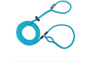 Harness Lead No Pull Dog Harness and Leash Set, Anti Pull Dog Harness for All Breeds and Sizes, One-Piece Cushioned Rope Design Safely Prevents Escaping and Pulling (Medium/Large, Blue/Multi)