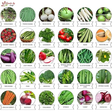 Kraft Seeds 30 Varieties of Vegetable Seeds Exotic Vegetable Heirloom Varieties Grow