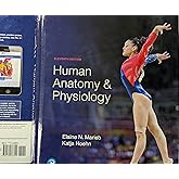 Human Anatomy and Physiology, Eleventh Edition, c. 2019