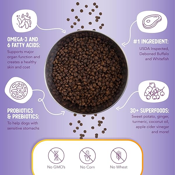 HEALTH EXTENSION GRAIN FREE BUFFALO & WHITEFISH LITTLE BITES (1 LB / 0.45 KG) – SMALL KIBBLE FORMULA WITH OMEGA 3 & WHOLE FOODS FOR TEACUPS, TOYS & MINIATURE DOGS
