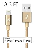 Volts Lightning Cable [Apple MFi Certified] 3.3ft