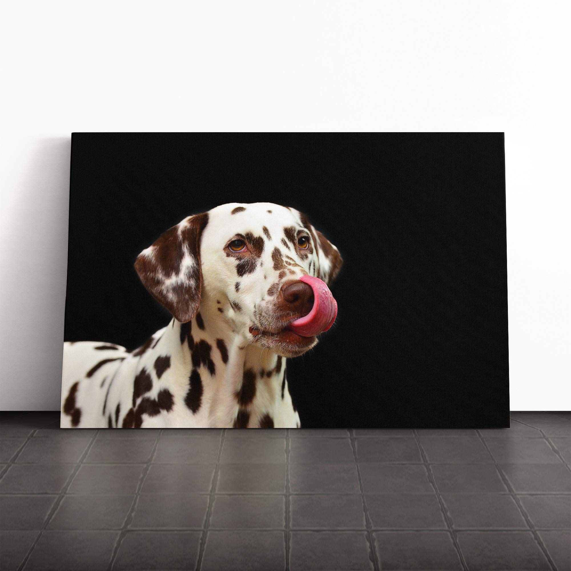 Dalmation Dog (2) Canvas Print | Gallery Wrapped 30mm Frame Wall Art | 20x14 inches | Ready to Hang | Modern Animals Picture | Living Room Bedroom Lounge Office