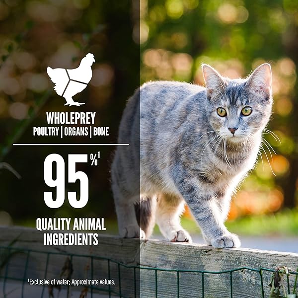 ORIJEN PREMIUM PATE WET CAT FOOD IN BONE BROTH TUNA SALMON & BEEF ENTRÉE 3OZ CANS (24 COUNT)