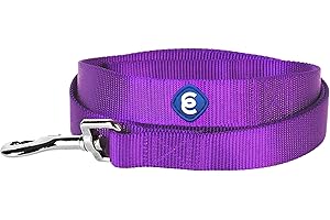 Blueberry Pet Essentials Durable Classic Dog Leash | Basic Nylon Dog Leash | 5ft. x 3/4" Medium Dog Leash | Dark Orchid Dog Leash | Standard Dog Leashes & Lightweight Dog Leash for Training