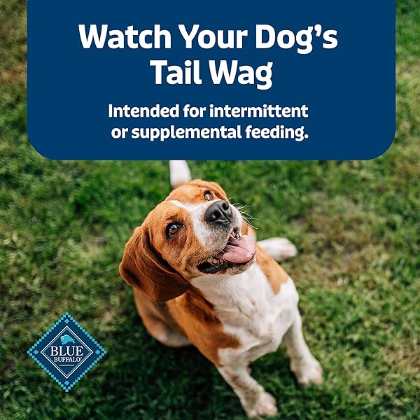 BLUE BUFFALO HEALTH BARS FOR DOGS, BANANA YOGURT, 16-OUNCE BAGS