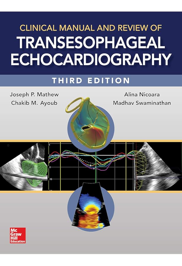 Perioperative Two-Dimensional Transesophageal Echocardiography: A