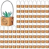 Aliceset 100 Pcs Let Love Grow Succulent Wrap Bulk Succulent Gift Wrap Bag with Plastic Handle Kraft Paper Gift Box Basket Baby Shower Wedding Party Favor, Not Include Plant Pot,2.2 x 2.2 x 2.1 inch