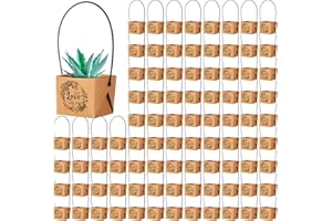 Aliceset 100 Pcs Let Love Grow Succulent Wrap Bulk Succulent Gift Wrap Bag with Plastic Handle Kraft Paper Gift Box Basket Baby Shower Wedding Party Favor, Not Include Plant Pot，2.2 x 2.2 x 2.1 inch