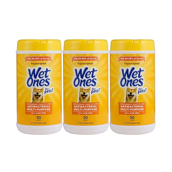 WET ONES FOR PETS MULTIPURPOSE DOG WIPES WITH ALOE VERA, TROPICAL SPLASH SCENT – PET BATHING WIPES IN CANISTER FOR DOG PAWS & ALL OVER USE, 50 COUNT – 3 PACK