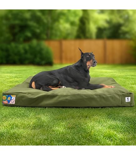 Amazon.com : Carhartt Durable Canvas Pet Bed, Water Resistant Firm