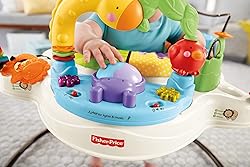 Fisher-Price Luv U Zoo Jumperoo, Infant Activity