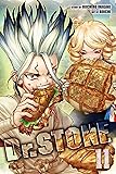 Dr. STONE, Vol. 11