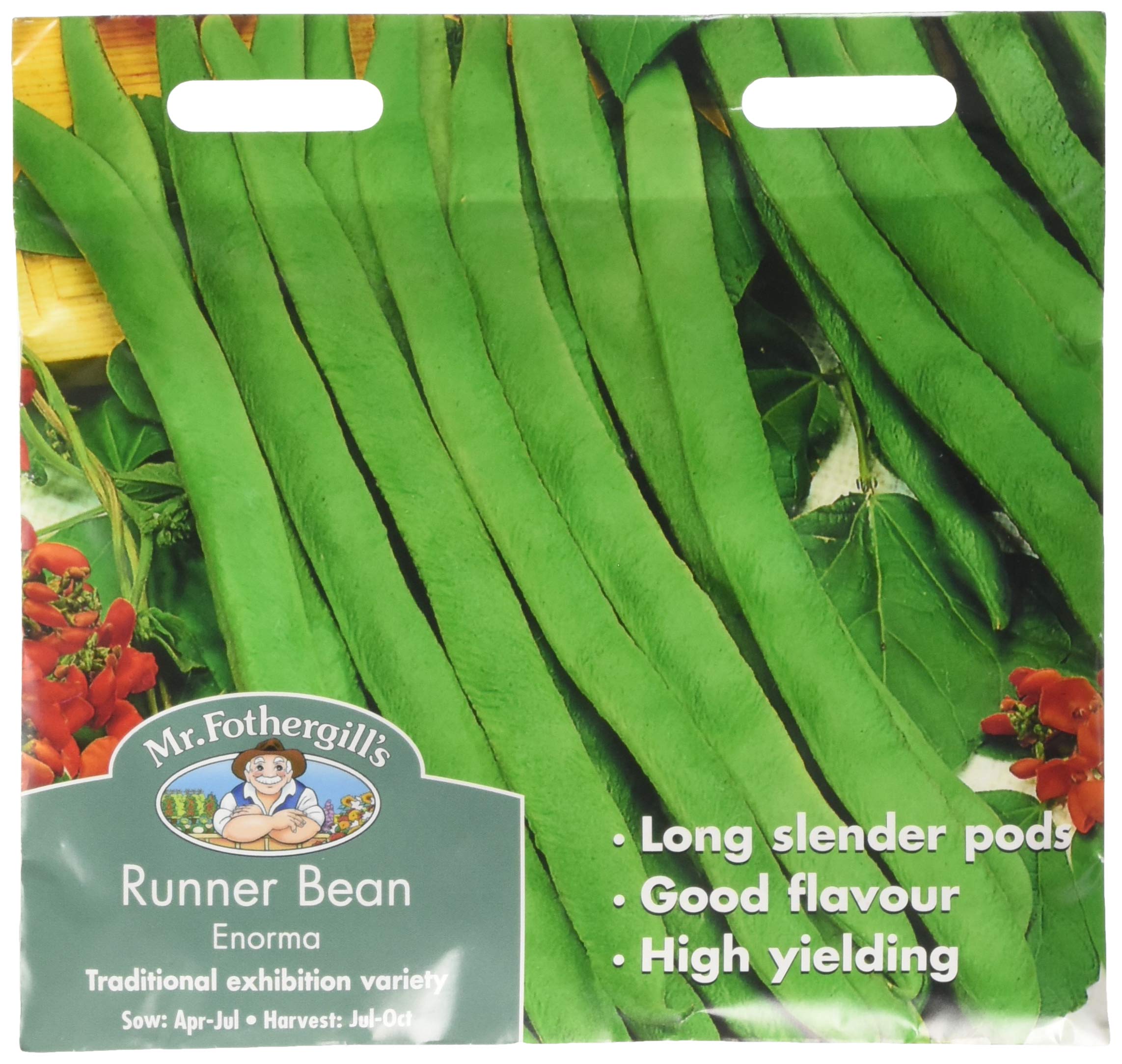 Mr Fothergill's 18504 Vegetable Seeds, Runner Bean Enorma