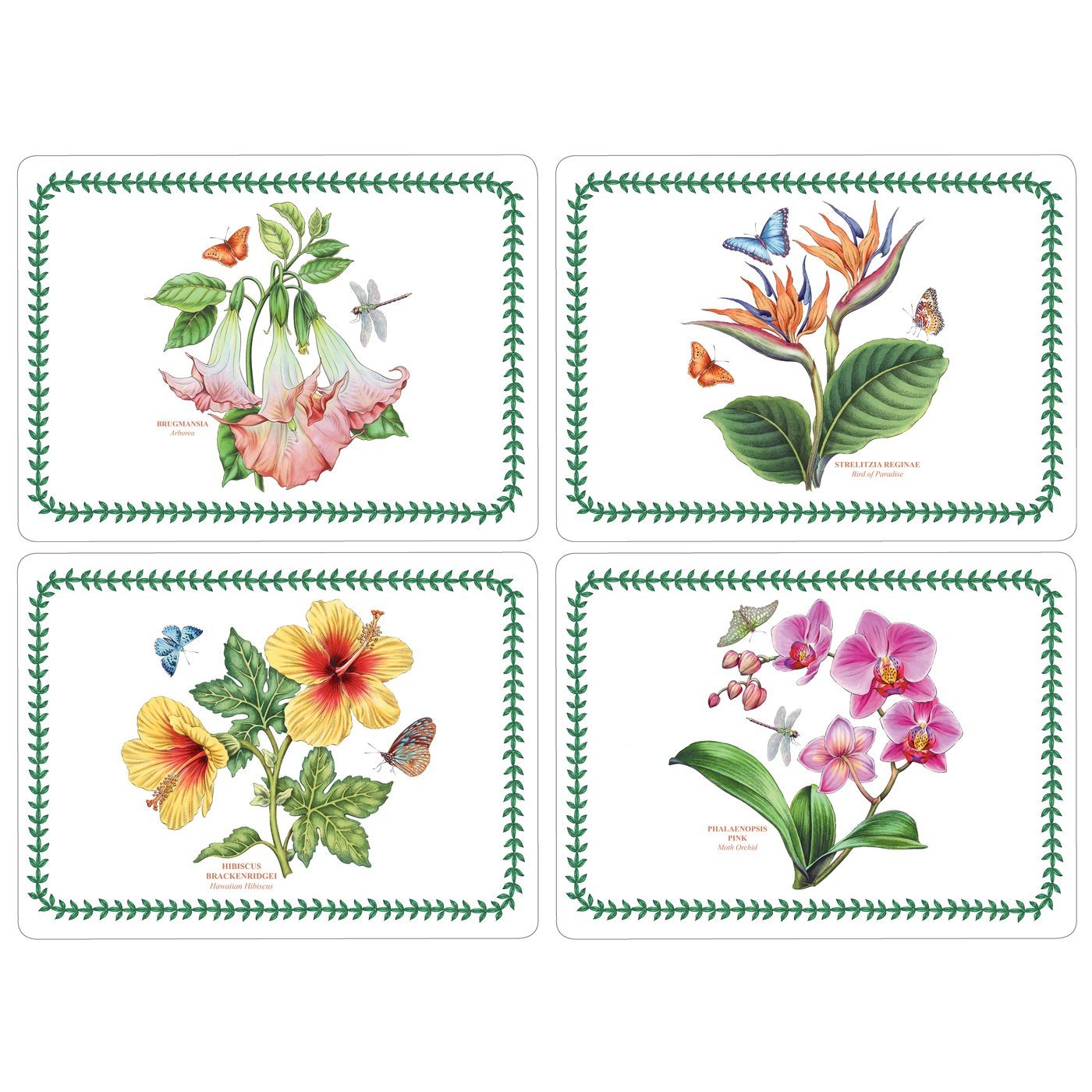 Pimpernel 40.1 x 29.8 cm Medium "Exotic Botanic Garden" Placemats, Set of 4, Multi-Colour